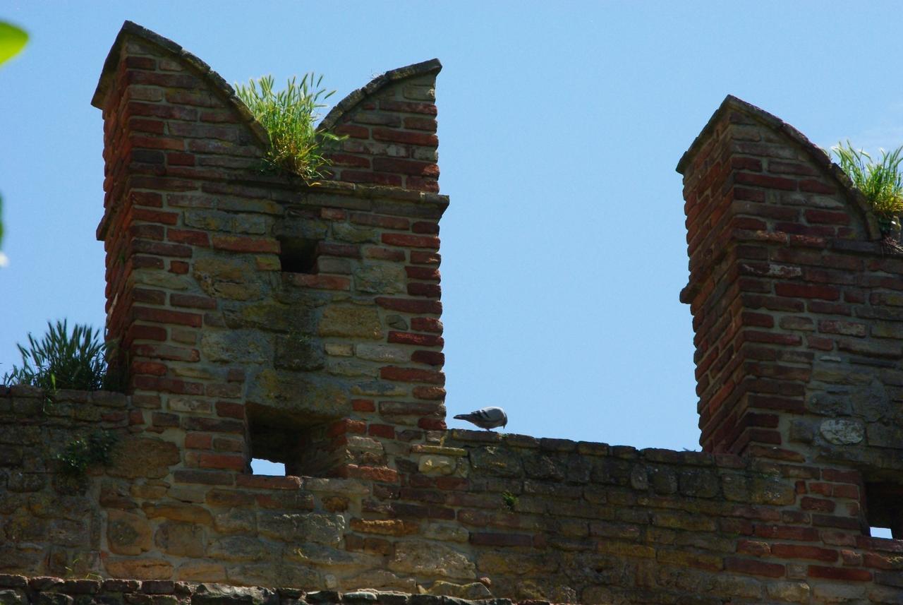 CastellʼArquato Villa Dircea מראה חיצוני תמונה